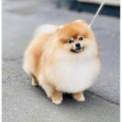 EPILATION ET BAIN MINUS